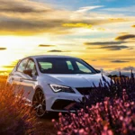 creation site internet auto moto salon de provence